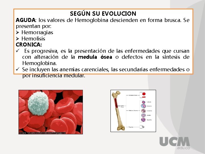 SEGÚN SU EVOLUCION AGUDA: los valores de Hemoglobina descienden en forma brusca. Se presentan