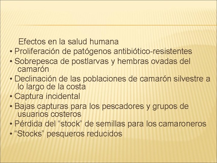 Efectos en la salud humana • Proliferación de patógenos antibiótico-resistentes • Sobrepesca de postlarvas