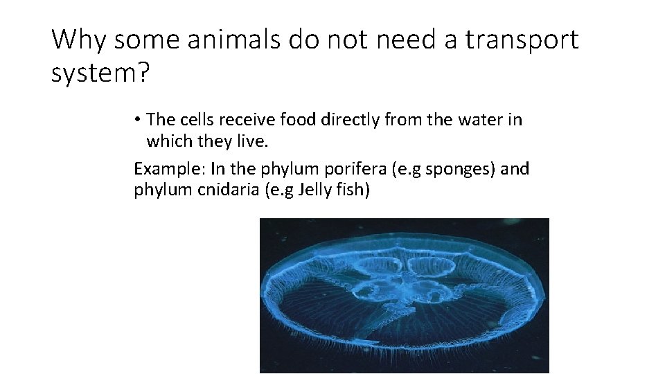 Why some animals do not need a transport system? • The cells receive food