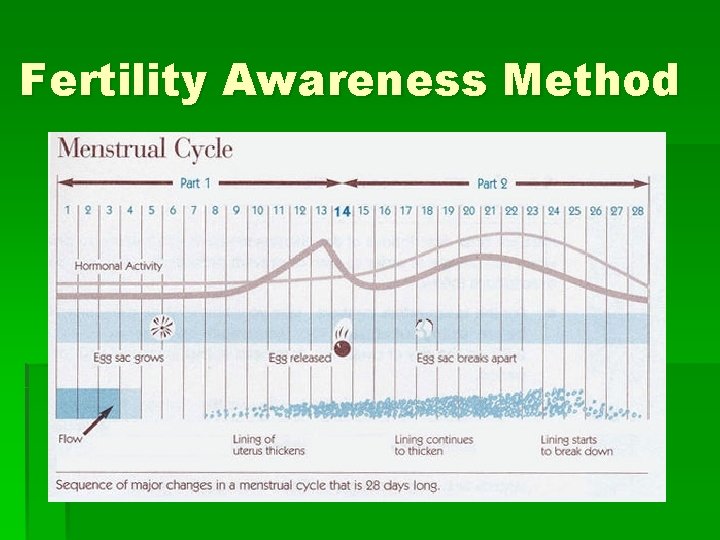 Fertility Awareness Method 