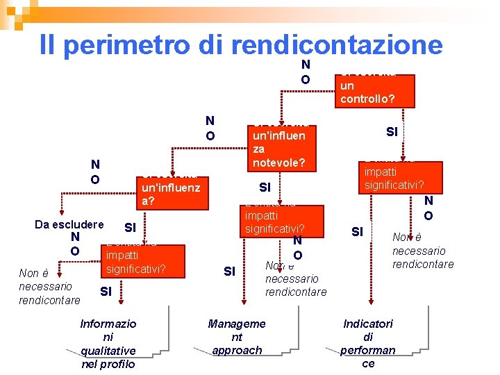 Il perimetro di rendicontazione N O N O Non è necessario rendicontare Si esercita