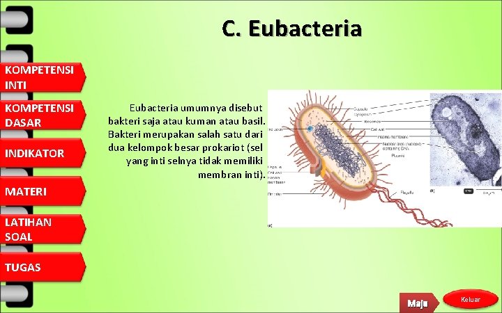 C. Eubacteria KOMPETENSI INTI KOMPETENSI DASAR INDIKATOR Eubacteria umumnya disebut bakteri saja atau kuman