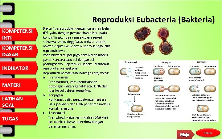 Reproduksi Eubacteria (Bakteria) KOMPETENSI INTI KOMPETENSI DASAR INDIKATOR MATERI LATIHAN SOAL TUGAS Bakteri bereproduksi