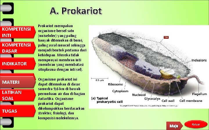 A. Prokariot KOMPETENSI INTI KOMPETENSI DASAR INDIKATOR MATERI LATIHAN SOAL TUGAS Prokariot merupakan organisme