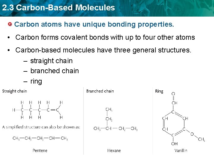 2. 3 Carbon-Based Molecules Carbon atoms have unique bonding properties. • Carbon forms covalent