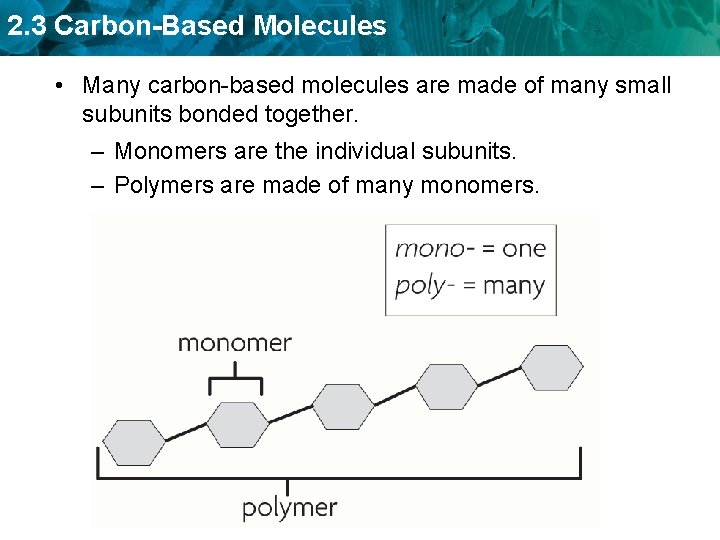 2. 3 Carbon-Based Molecules • Many carbon-based molecules are made of many small subunits