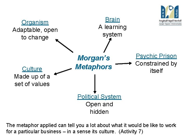 Organism Adaptable, open to change Culture Made up of a set of values Brain