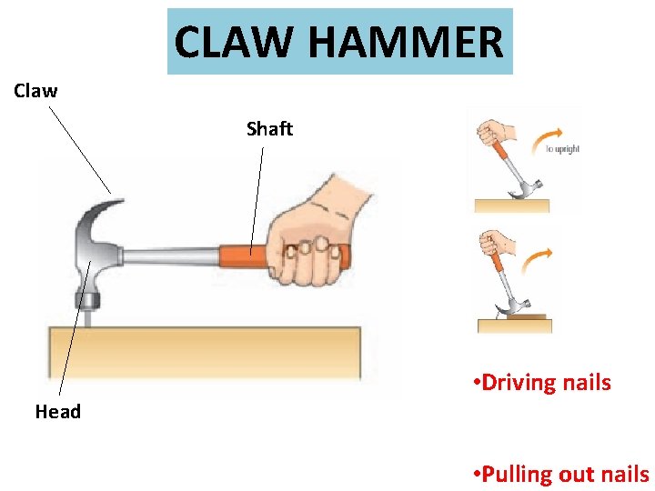 CLAW HAMMER Claw Shaft • Driving nails Head • Pulling out nails 