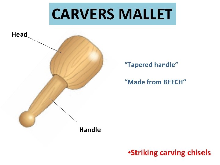 CARVERS MALLET Head “Tapered handle” “Made from BEECH” Handle • Striking carving chisels 