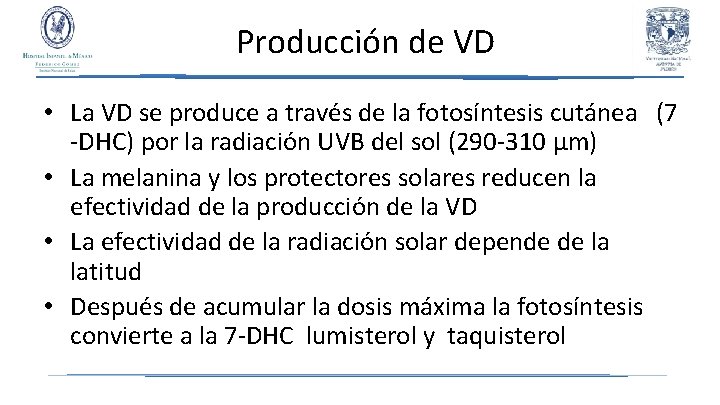 Producción de VD • La VD se produce a través de la fotosíntesis cutánea