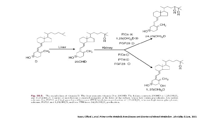 Rosen, Clifford J. , et al. Primer on the Metabolic Bone Diseases and Disorders