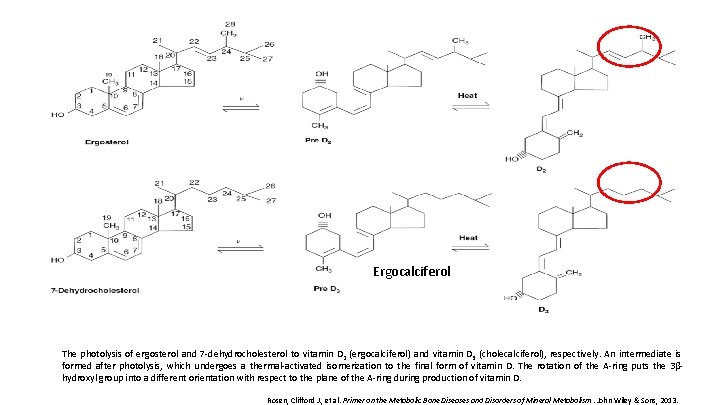 Ergocalciferol The photolysis of ergosterol and 7 -dehydrocholesterol to vitamin D 2 (ergocalciferol) and