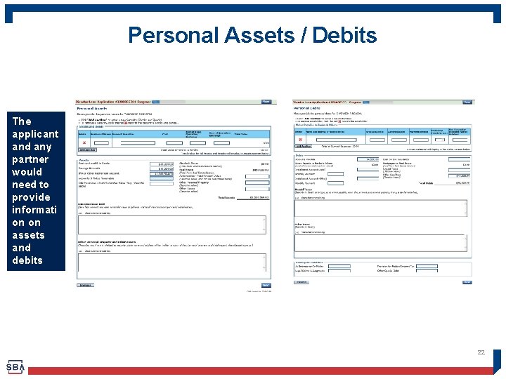 Personal Assets / Debits The applicant and any partner would need to provide informati