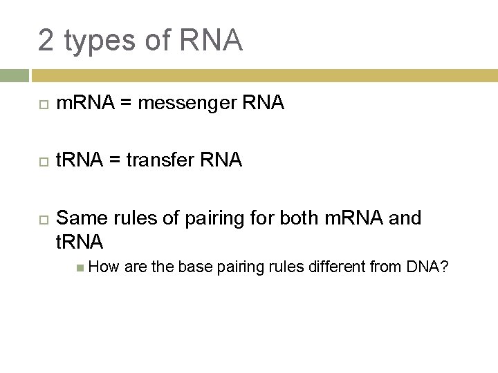 2 types of RNA m. RNA = messenger RNA t. RNA = transfer RNA