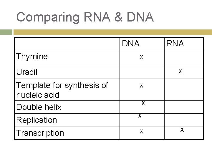 Comparing RNA & DNA Thymine RNA X Uracil Template for synthesis of nucleic acid