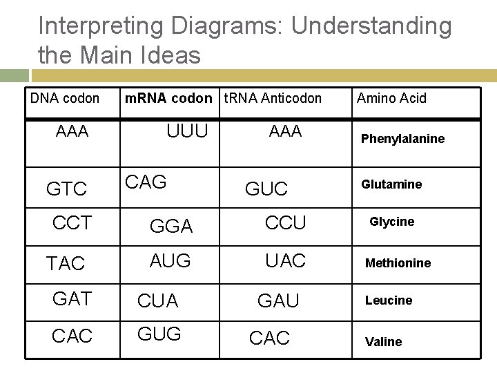 Interpreting Diagrams: Understanding the Main Ideas DNA codon AAA GTC CCT TAC m. RNA