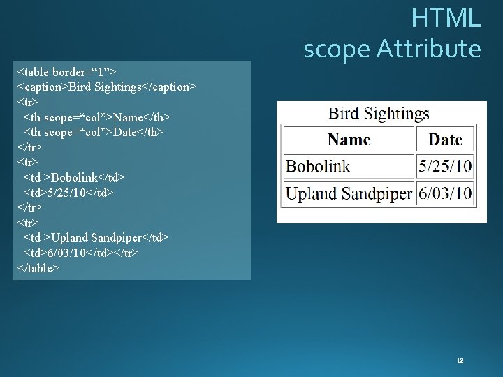 HTML scope Attribute <table border=“ 1”> <caption>Bird Sightings</caption> <tr> <th scope=“col”>Name</th> <th scope=“col”>Date</th> </tr>