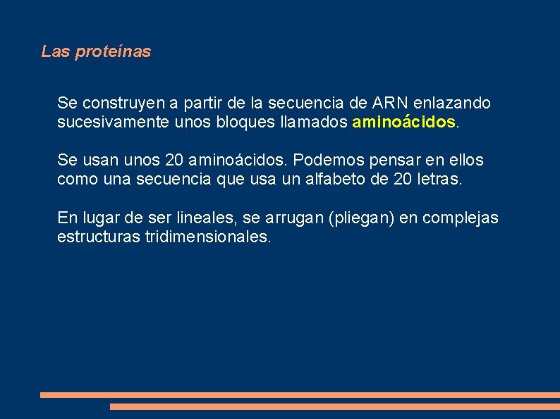 Las proteínas Se construyen a partir de la secuencia de ARN enlazando sucesivamente unos