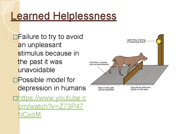 Learned Helplessness �Failure to try to avoid an unpleasant stimulus because in the past