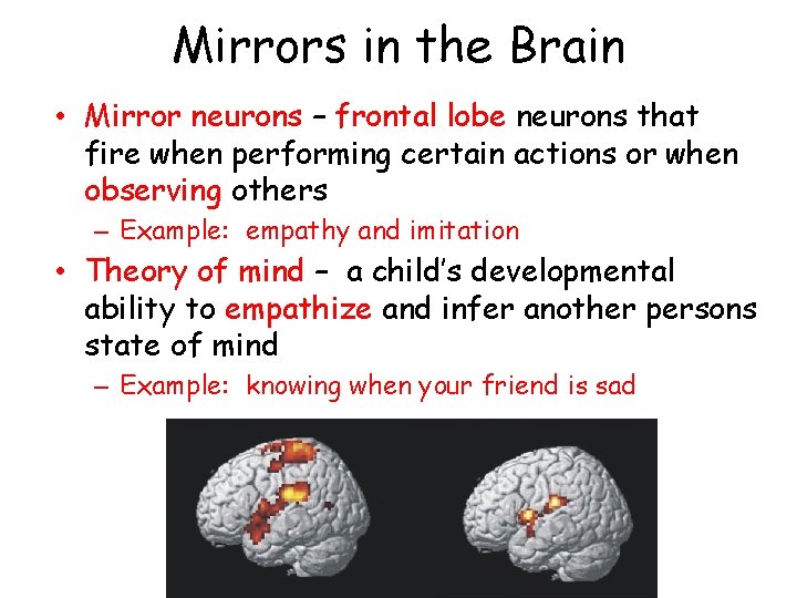 Mirrors in the Brain • Mirror neurons – frontal lobe neurons that fire when