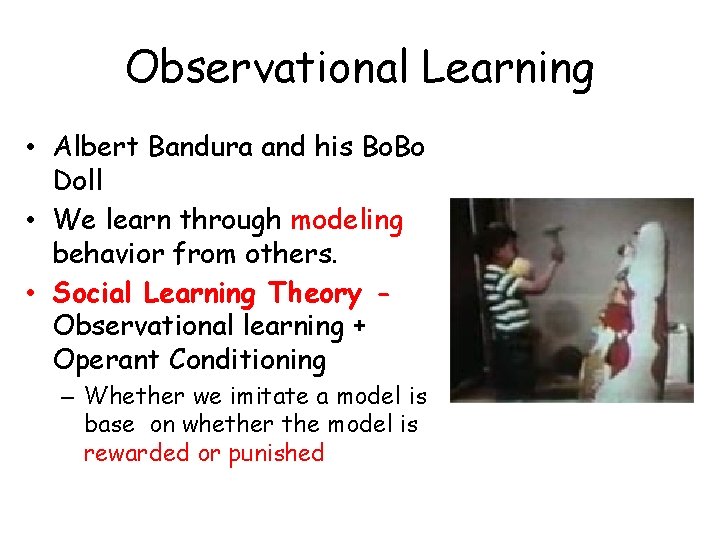 Observational Learning • Albert Bandura and his Bo. Bo Doll • We learn through