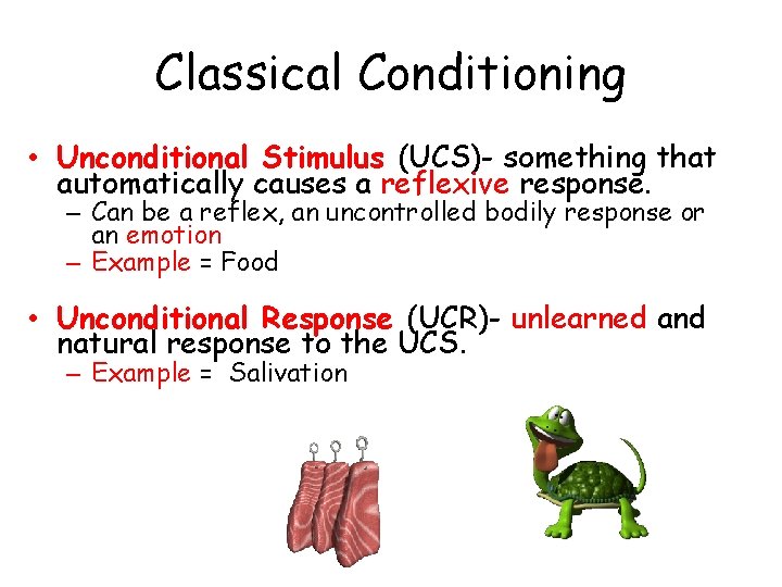 Classical Conditioning • Unconditional Stimulus (UCS)- something that automatically causes a reflexive response. –