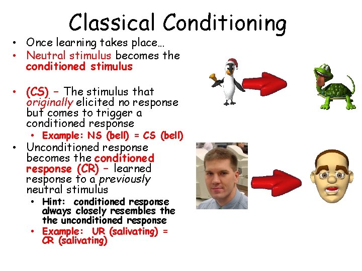 Classical Conditioning • Once learning takes place… • Neutral stimulus becomes the conditioned stimulus