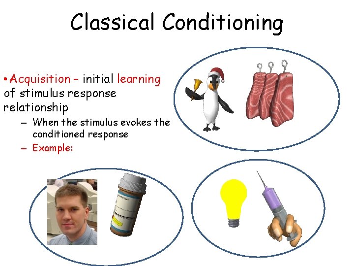 Classical Conditioning • Acquisition – initial learning of stimulus response relationship – When the
