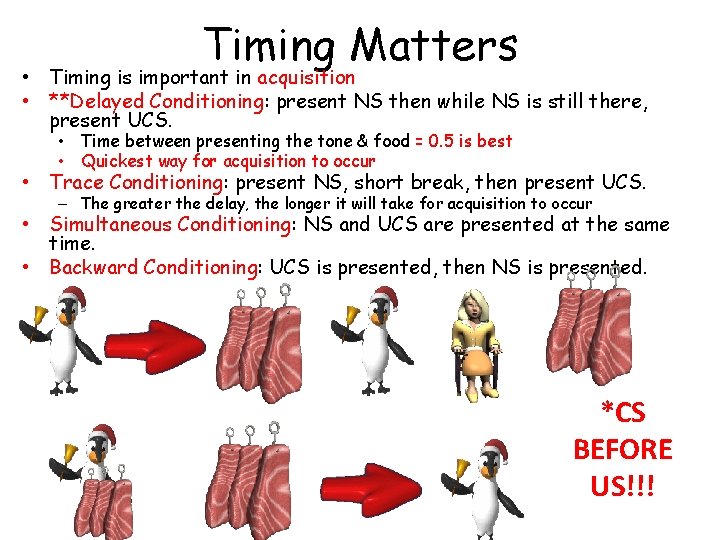  • • Timing Matters Timing is important in acquisition **Delayed Conditioning: present NS