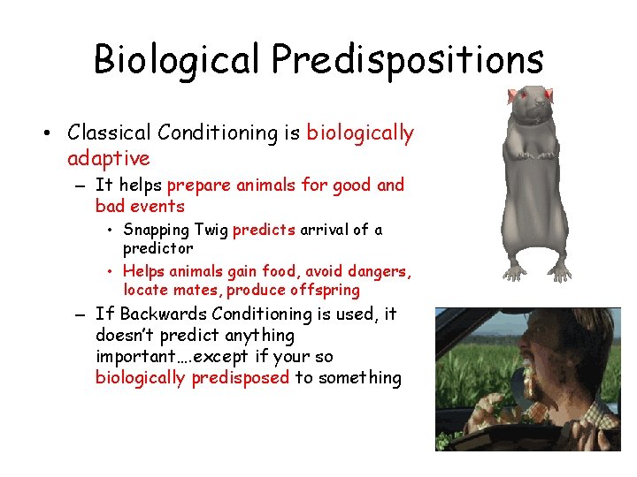 Biological Predispositions • Classical Conditioning is biologically adaptive – It helps prepare animals for