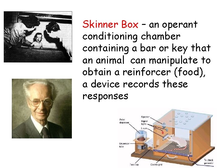 Skinner Box – an operant conditioning chamber containing a bar or key that an