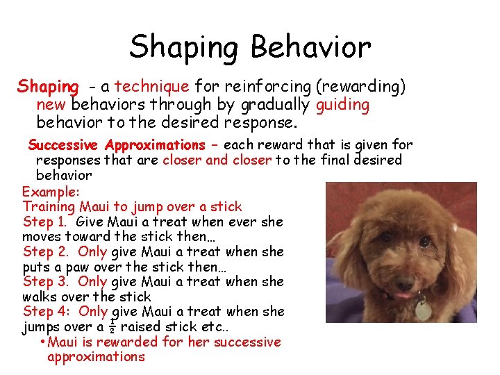 Shaping Behavior Shaping - a technique for reinforcing (rewarding) new behaviors through by gradually