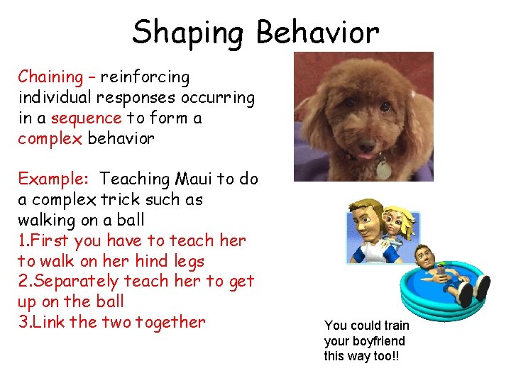 Shaping Behavior Chaining – reinforcing individual responses occurring in a sequence to form a