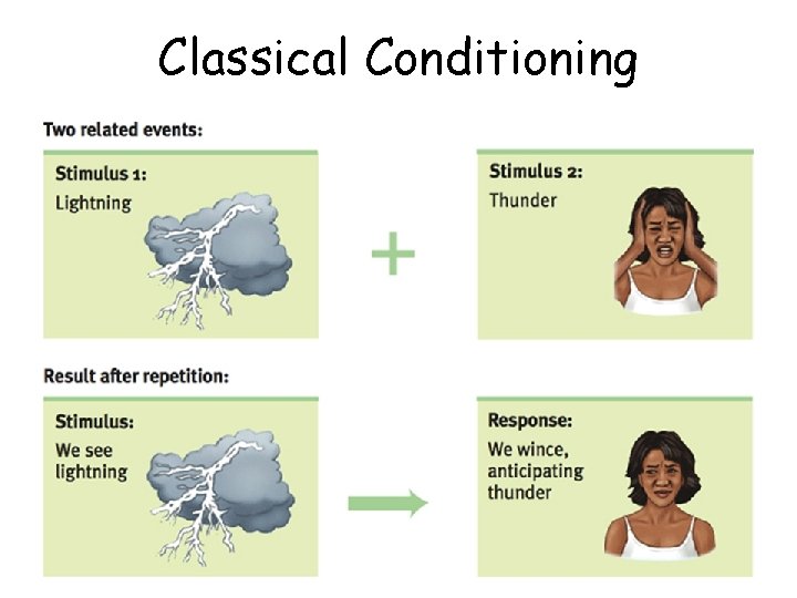 Classical Conditioning 