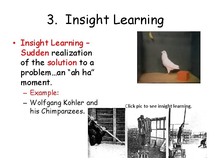 3. Insight Learning • Insight Learning – Sudden realization of the solution to a
