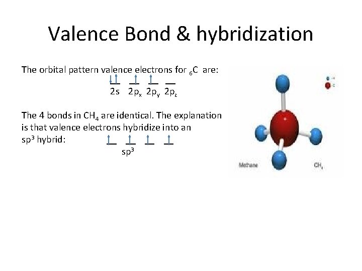 Valence Bond & hybridization The orbital pattern valence electrons for 6 C are: __