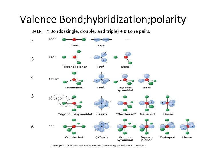 Valence Bond; hybridization; polarity B+LP = # Bonds (single, double, and triple) + #