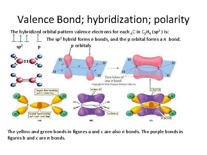 Valence Bond; hybridization; polarity The hybridized orbital pattern valence electrons for each 6 C