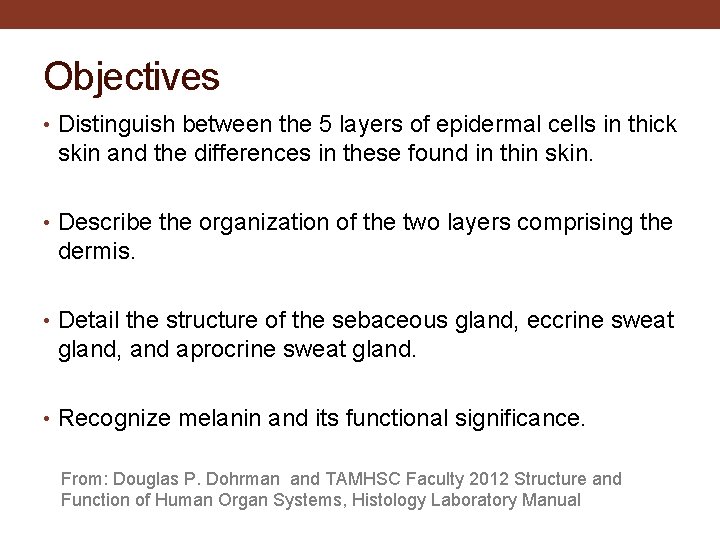 Objectives • Distinguish between the 5 layers of epidermal cells in thick skin and