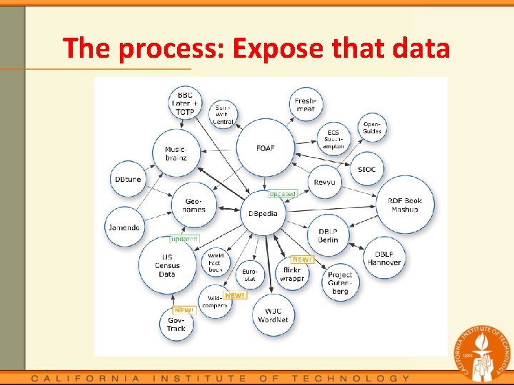 The process: Expose that data 