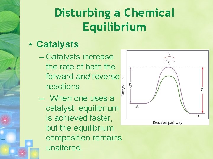 Disturbing a Chemical Equilibrium • Catalysts – Catalysts increase the rate of both the