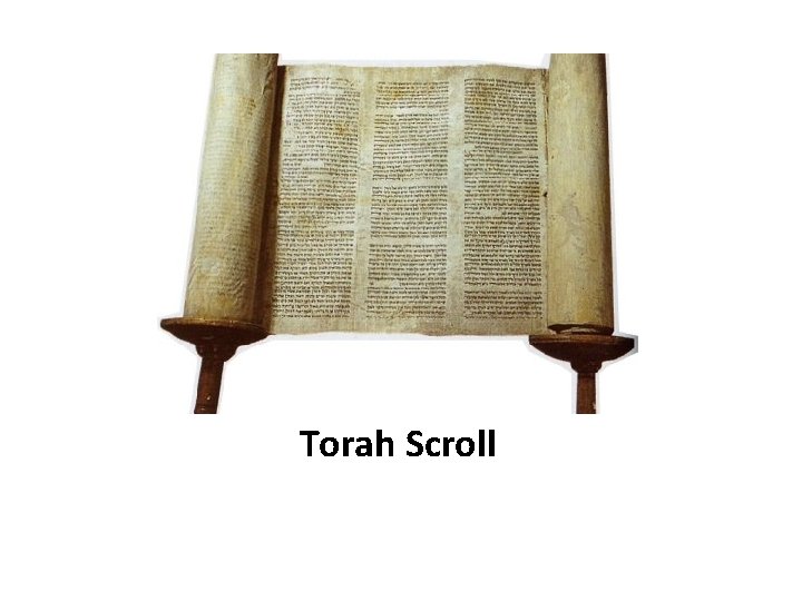 Torah Scroll 
