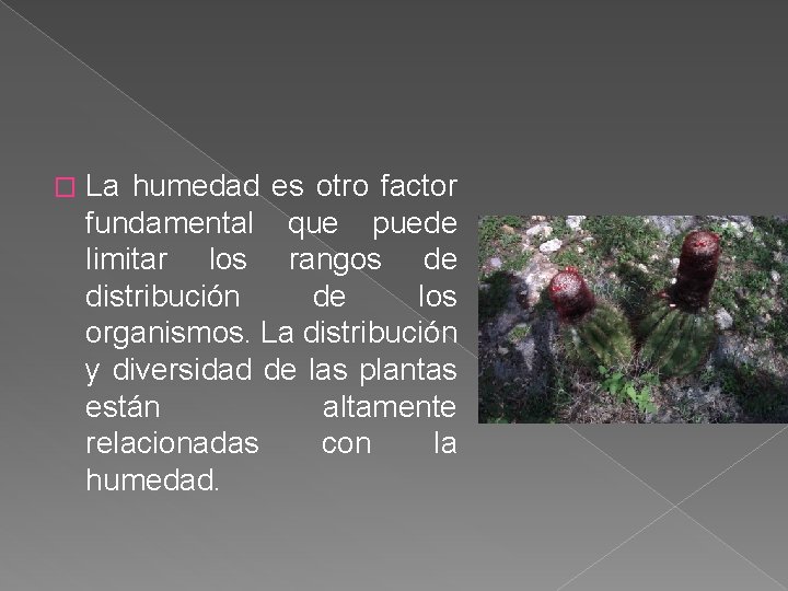 � La humedad es otro factor fundamental que puede limitar los rangos de distribución