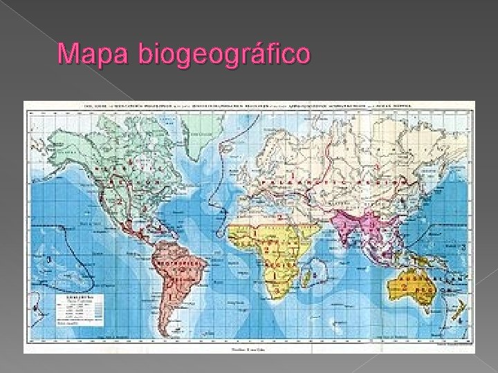 Mapa biogeográfico 