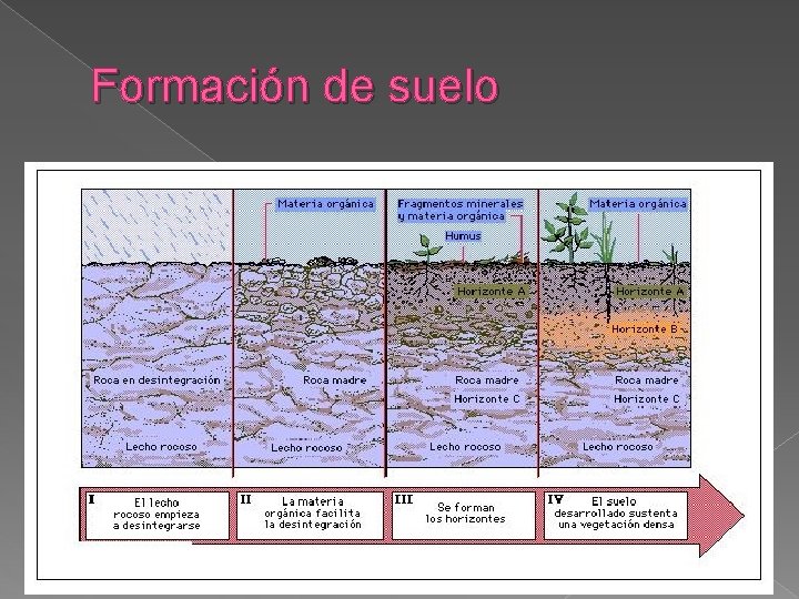 Formación de suelo 