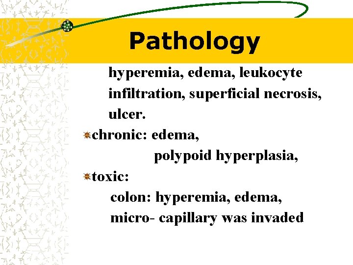 Pathology hyperemia, edema, leukocyte infiltration, superficial necrosis, ulcer. chronic: edema, polypoid hyperplasia, toxic: colon: