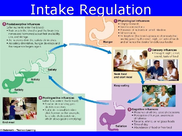 Intake Regulation 