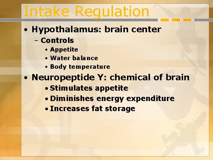 Intake Regulation • Hypothalamus: brain center – Controls • Appetite • Water balance •