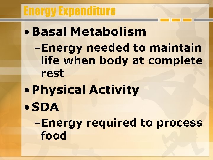 Energy Expenditure • Basal Metabolism –Energy needed to maintain life when body at complete