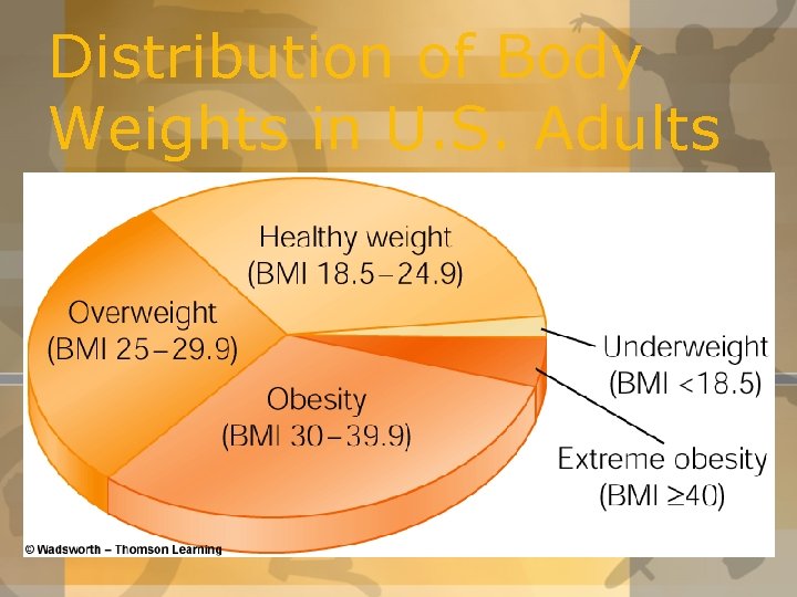 Distribution of Body Weights in U. S. Adults 